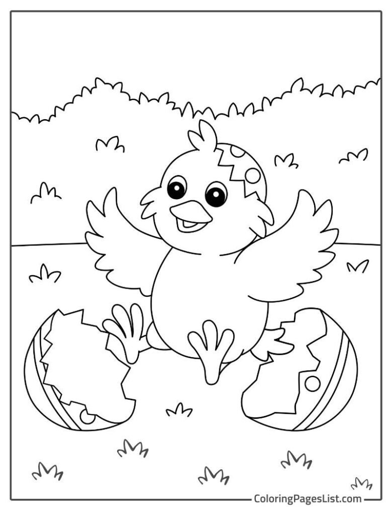 Cute Chick Popped Out Of The Egg Coloring Page