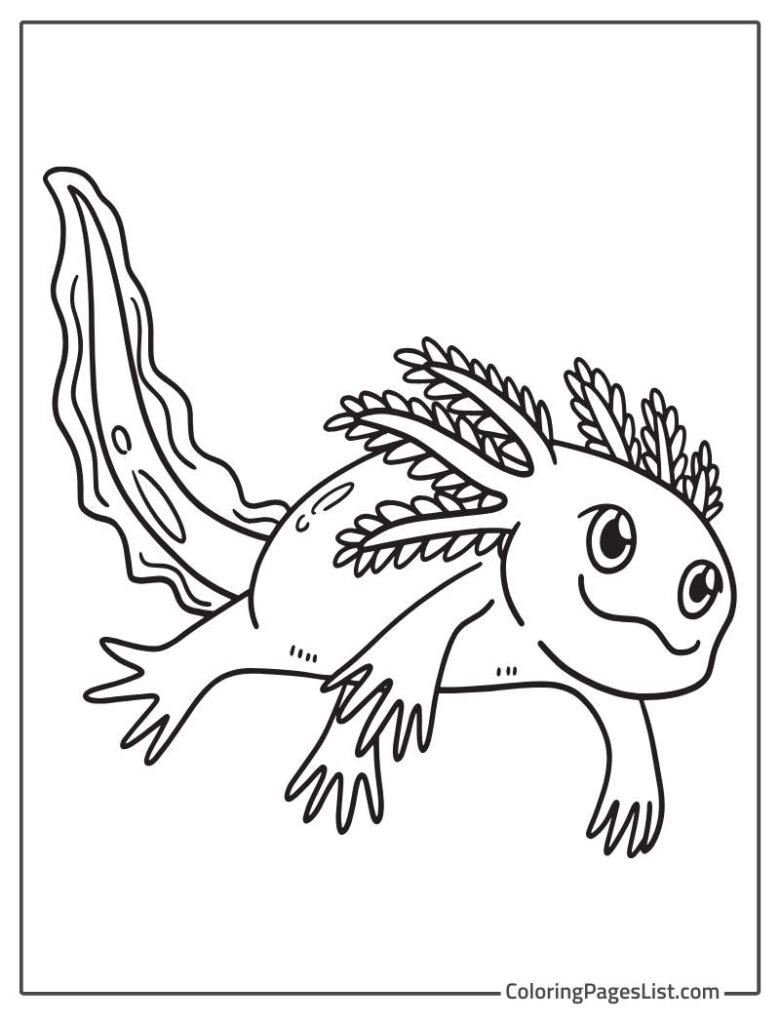 Outline Of Axolotl To Color In