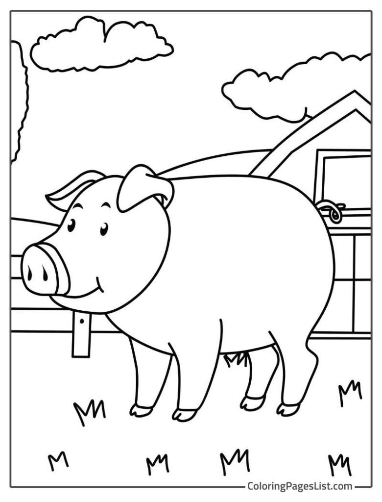 Pig Standing In The Farm Coloring Page
