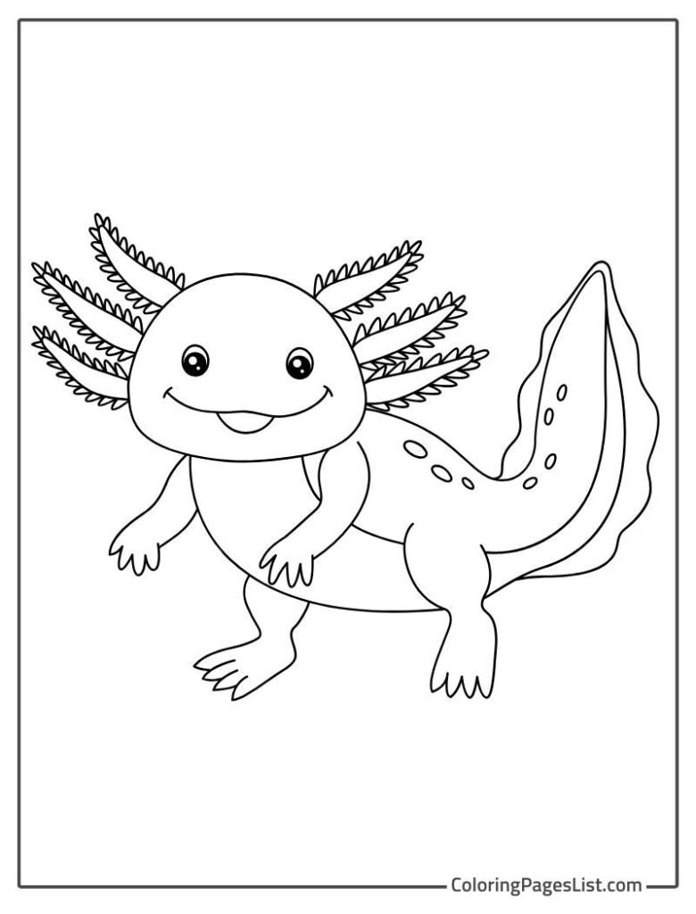 Simple Outline Axolotl For Kids To Color In