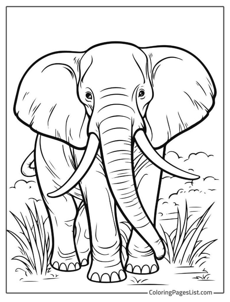 Elephant With Big Horns Coloring Page