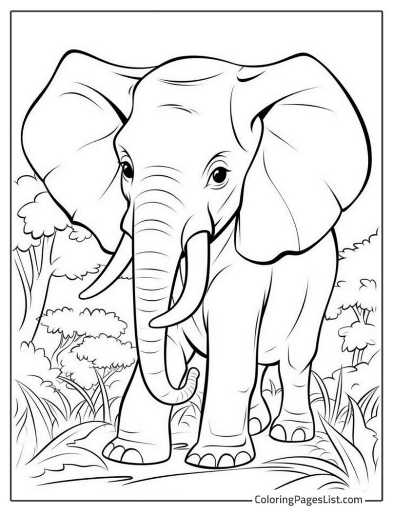 Elephant With Big Horns Walking In The Jungle To Color In