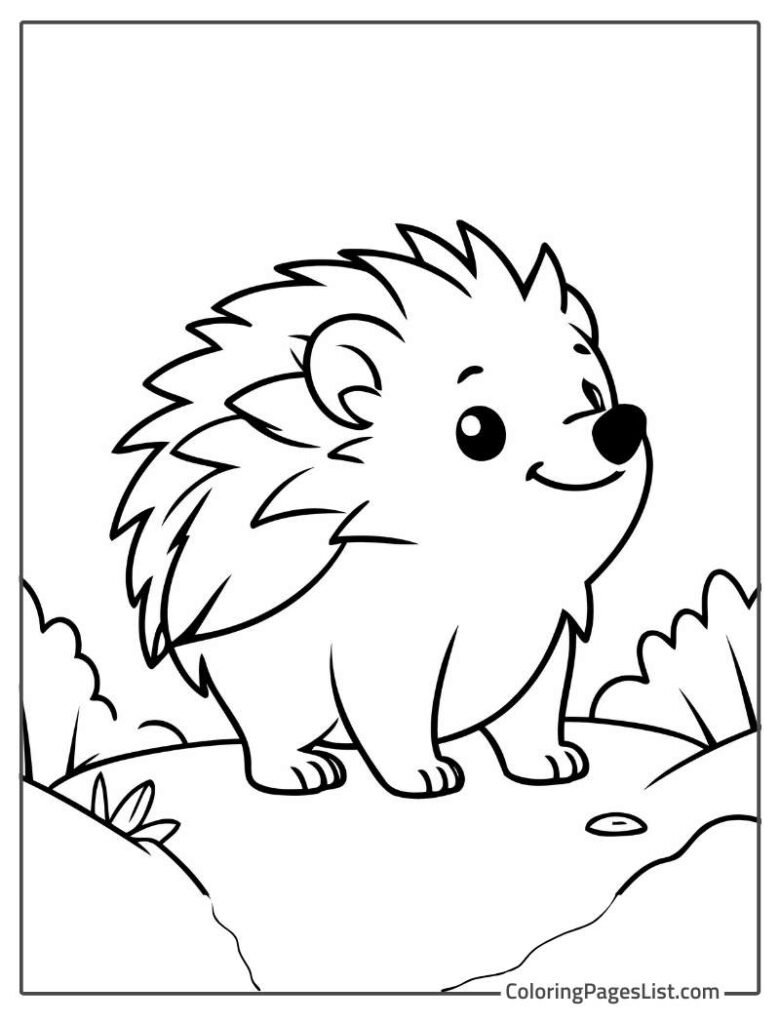 Hedgehog Walking In The Garden