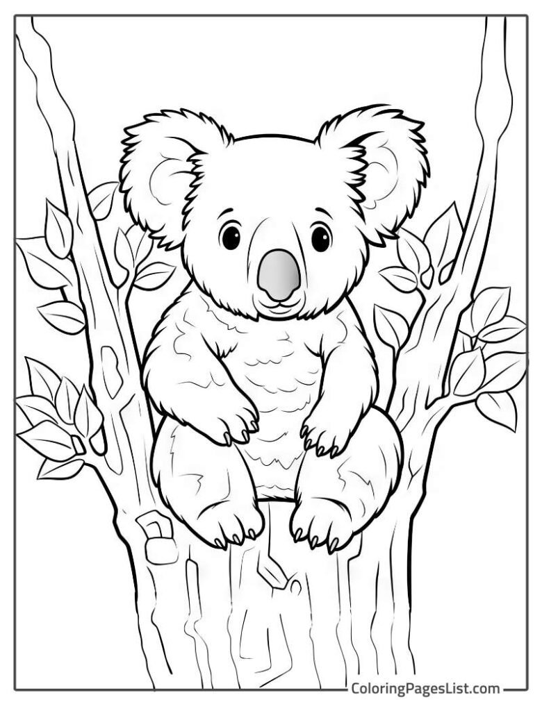 Koala Sitting On The Tree In Midst Of Leaves To Color