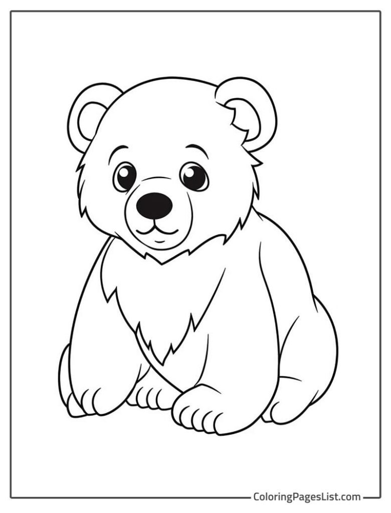 Simple Outline Of Bear To Color In