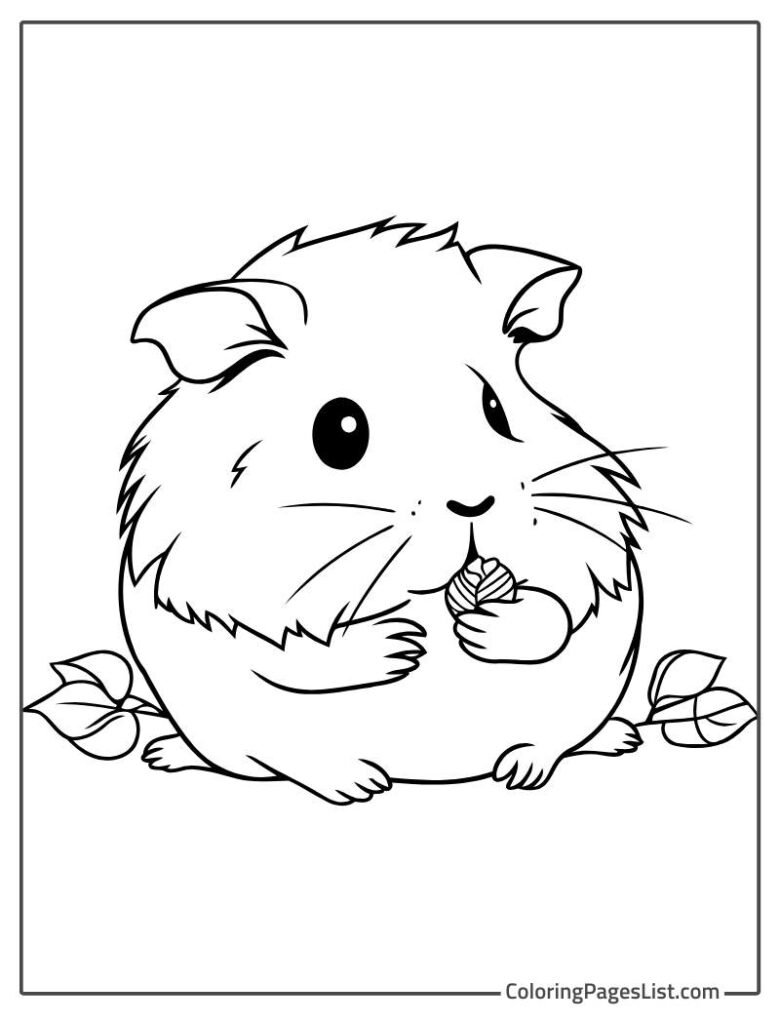 Simple Outline Of Eating Hamster Coloring Page