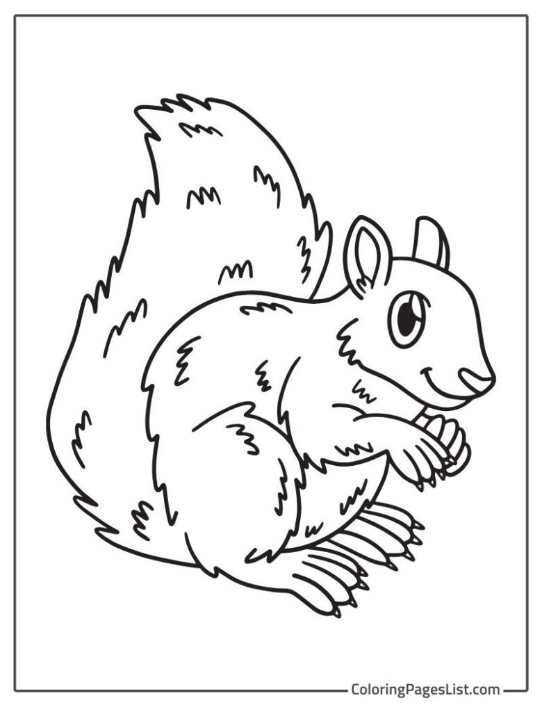 Simple Outline Of Squirrel To Color In