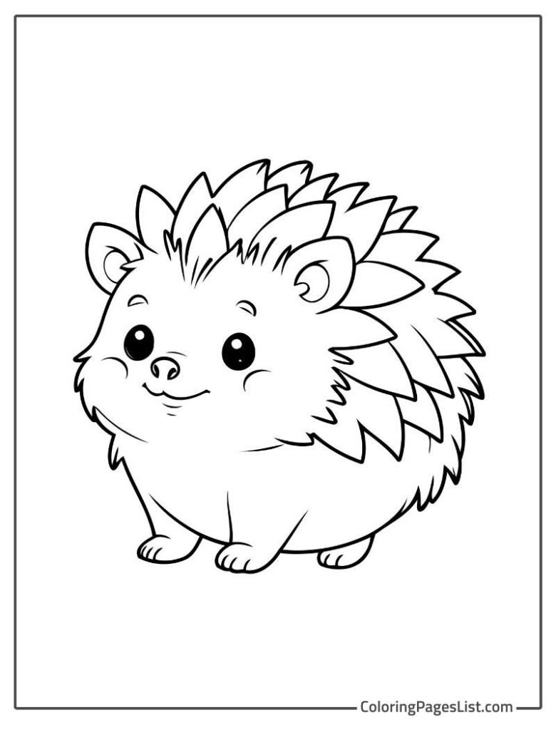 Very Simple Outline Of Smiling Hedgehog To Color