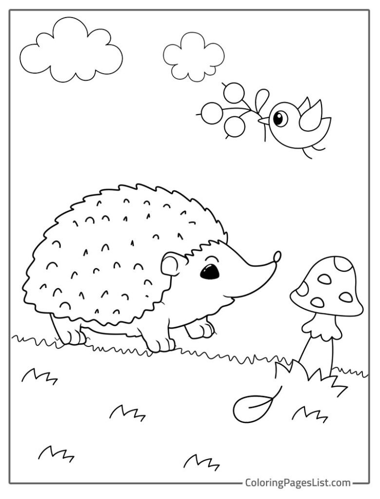 Cute Hedgehog Walking In The Garden Near Mushrooms To Color