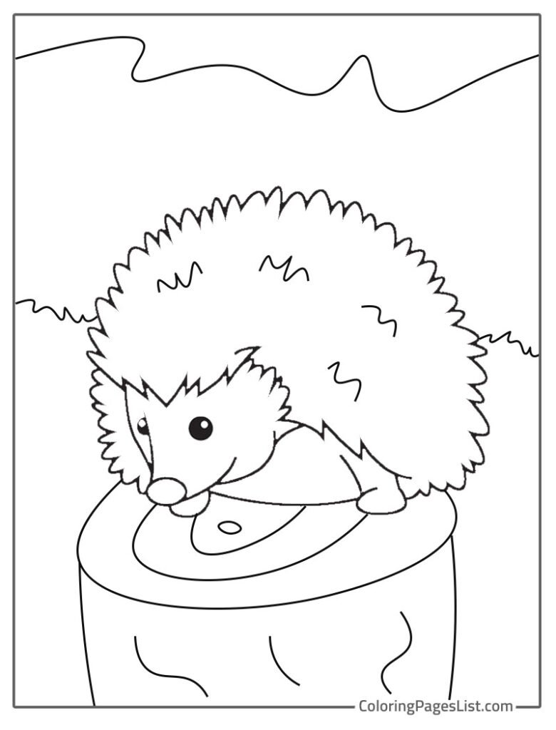 Hedgehog Sitting On Cutted Wood Log To Color