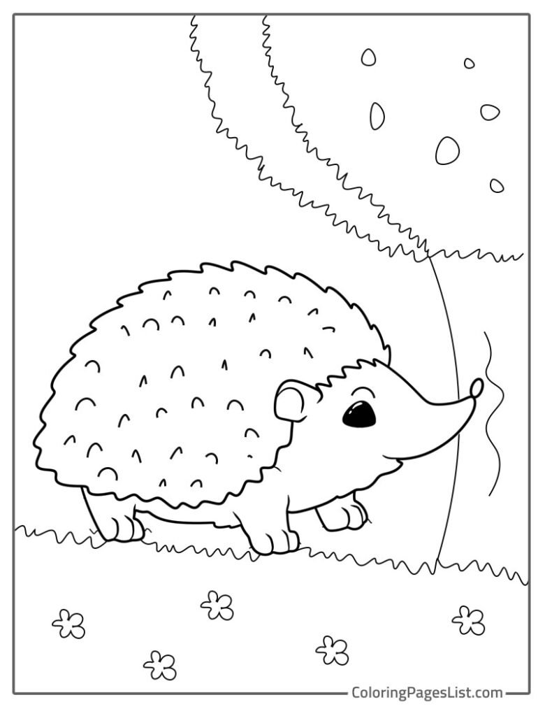 Hedgehog Walking Near The Tree To Color