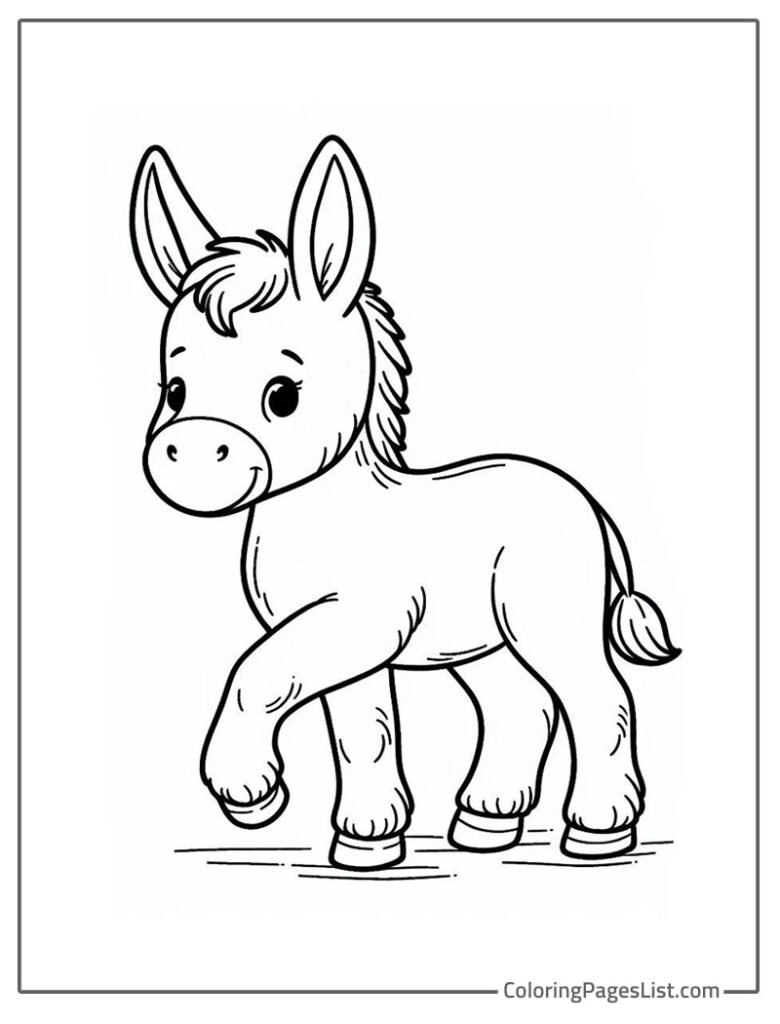 Little Baby Donkey Outline To Color