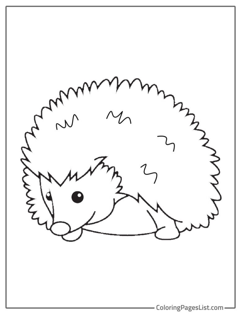 Simple Outline Of Hedgehog Coloring Sheet For Kids