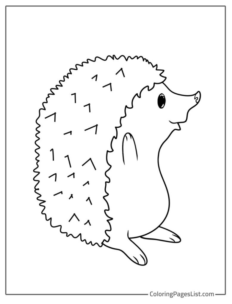 Simple Outline Of Smiling Hedgehog Coloring Page