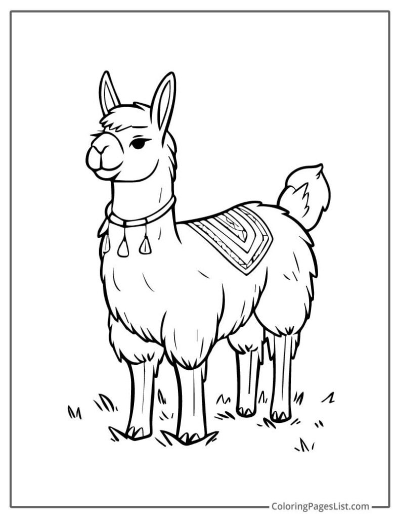 Coloring Page Of a Realistic-Looking Llama