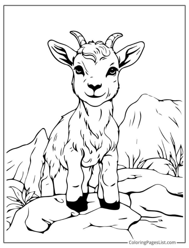 Goat Smiling And Standing On The Mountain To Color