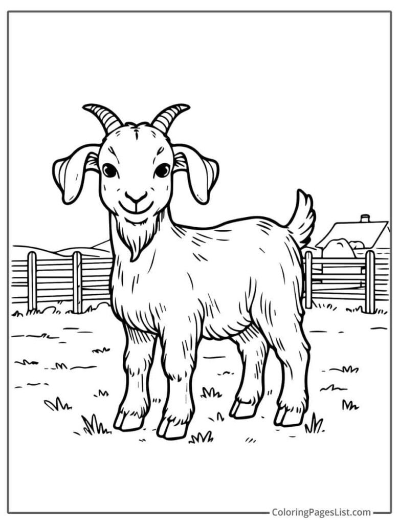 Goat Standing In The Farm Near The Fence Coloring Page