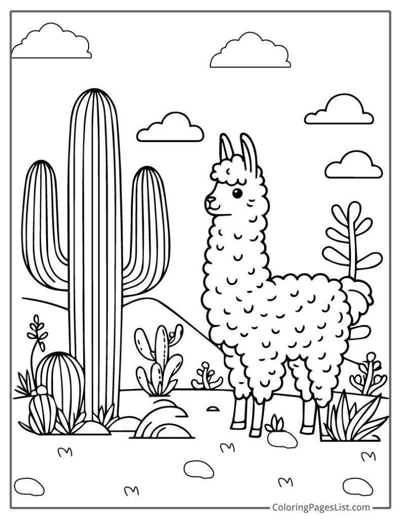 Llama Looking At The Cactus For Kids