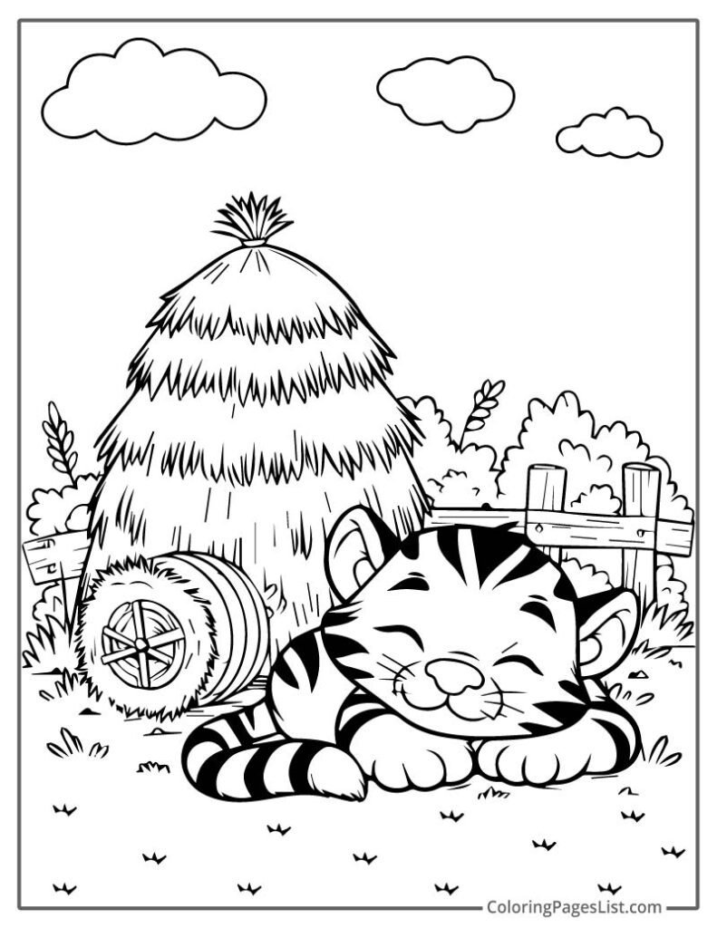 Baby Tiger Sleeping In Front Of The Haystack And Fence For Coloring