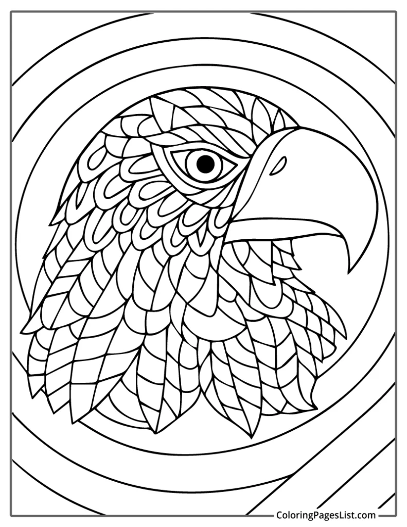 Detailed Bald Eagle Head with Patterned Feathers