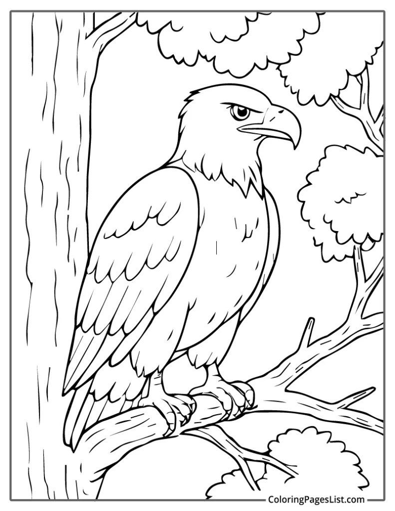 Eagle Perched on a Tree Branch