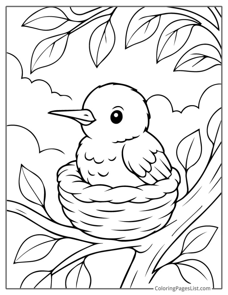 Baby Hummingbird Resting in Cozy Nest Coloring Page