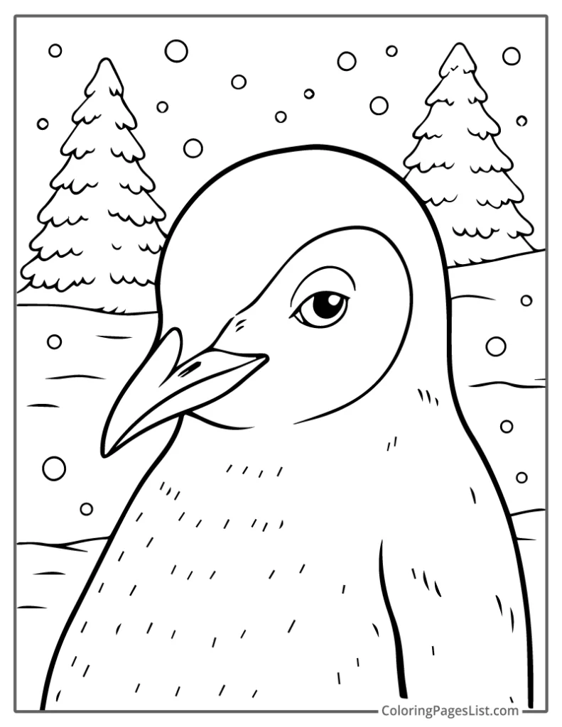 Close-Up Penguin Glancing with a Gentle Expression