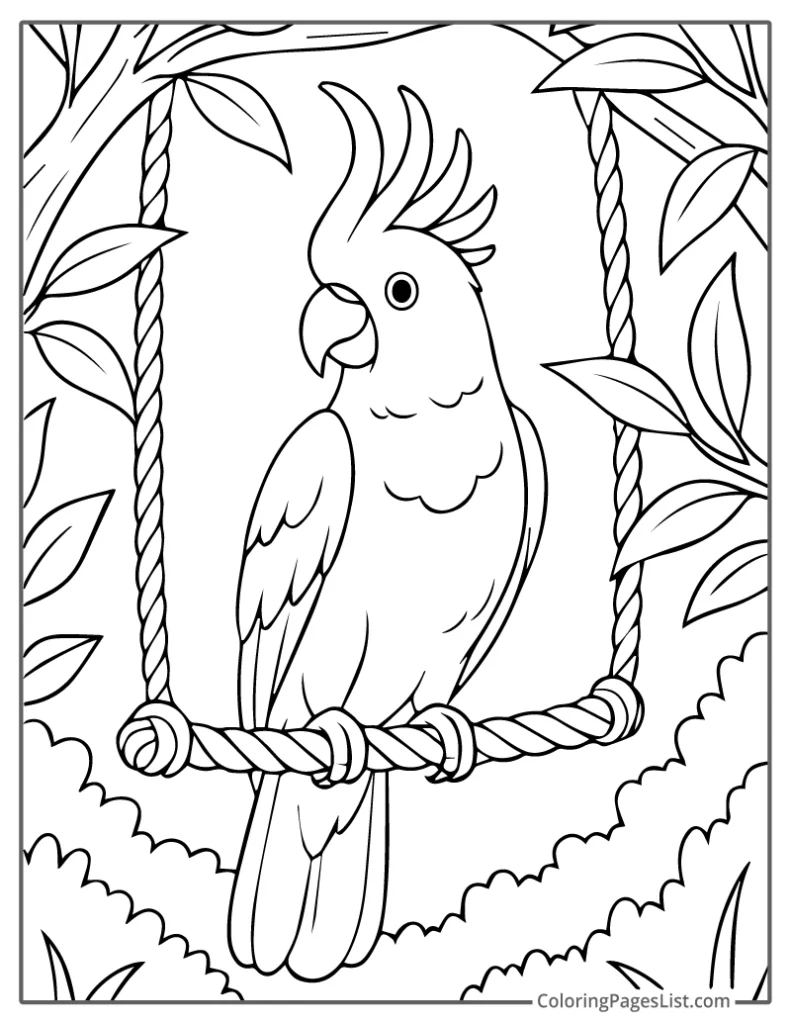 Cockatoo Sitting On A Rope Swing In Jungle