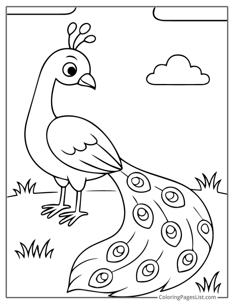 Cute Cartoon Peacock With Big Eyes And Soft Details For Coloring