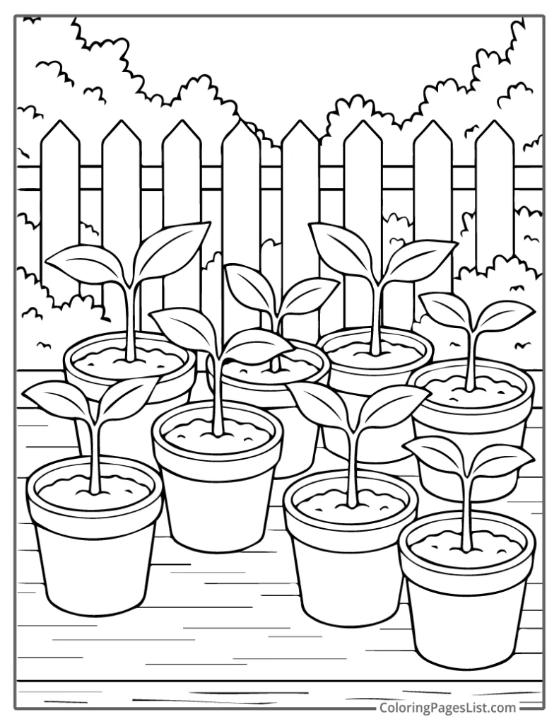 Detailed Garden Table Full of Seedling Pots Coloring Page