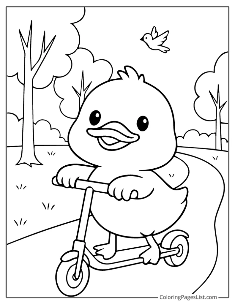 Duck Riding A Scooter In The Park To Color In
