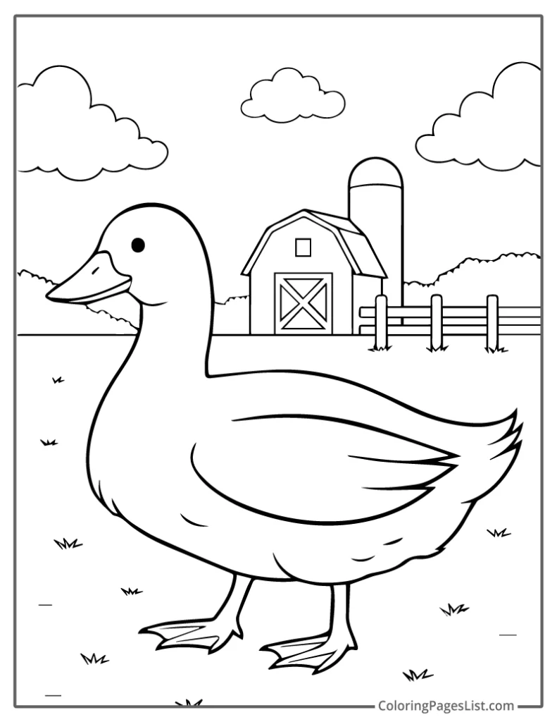 Duck Roaming the Field Near a Barn For Kids To Color