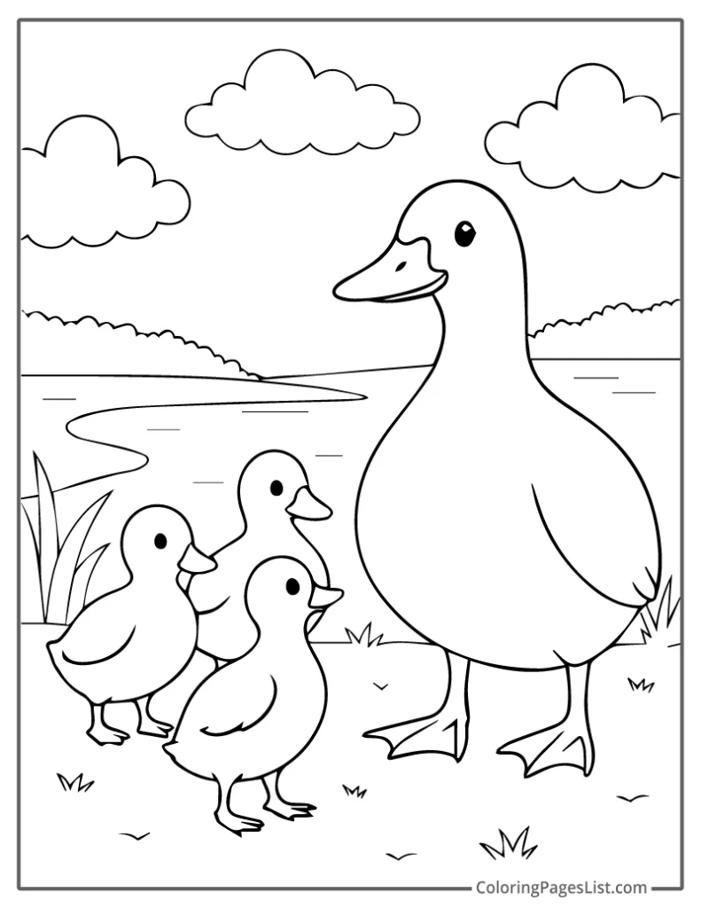 Duck Standing With Three Ducklings Coloring Sheet