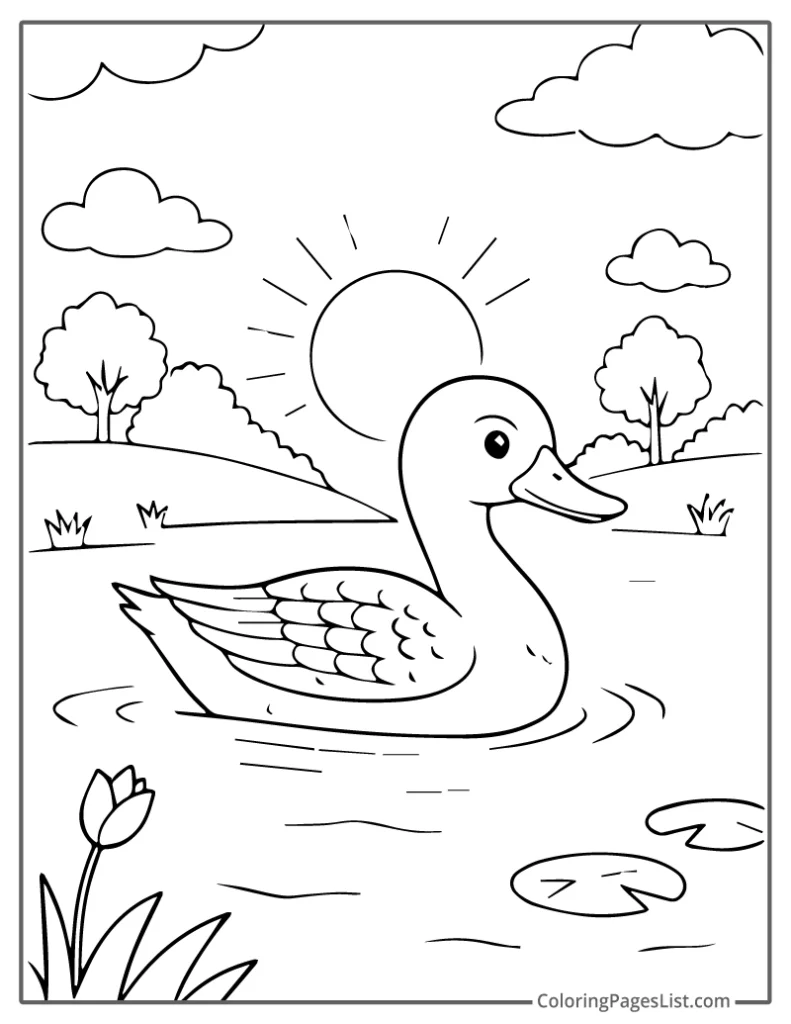 Duck Swimming In Pond At Sunrise For Kids To Color