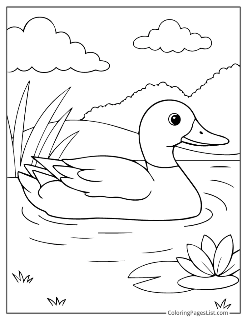 Duck Swimming In Pond With Lily Flower Coloring Sheet