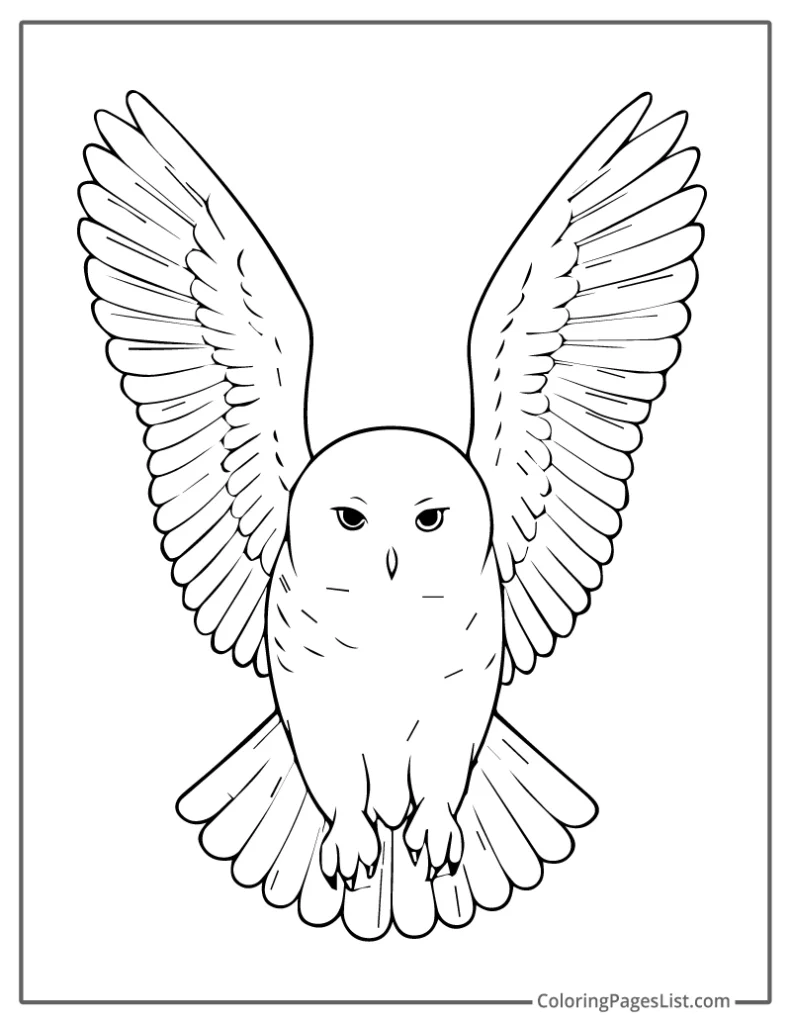 Flying Owl with Wings Fully Spread Coloring Page