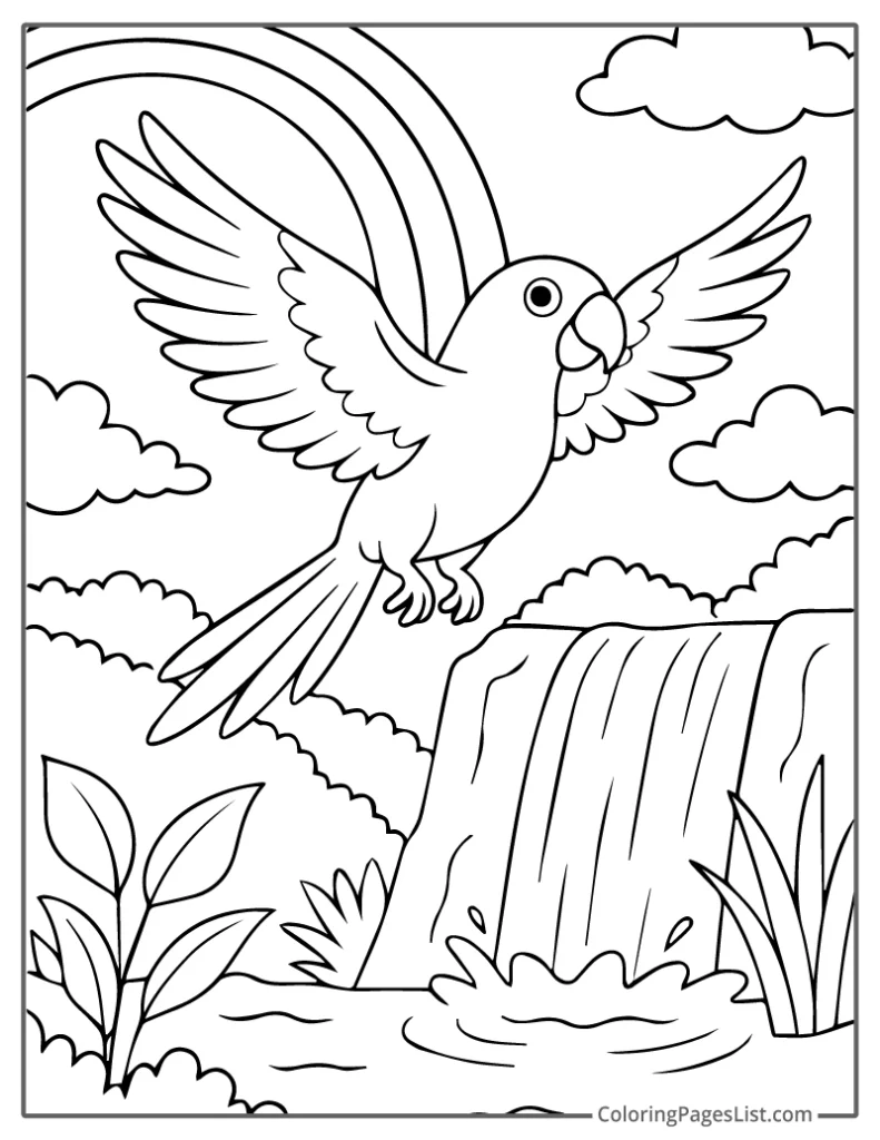 Flying Parrot Over Waterfall And Rainbow Coloring Page
