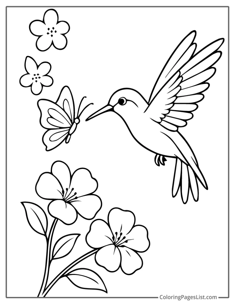 Hummingbird Facing Butterfly and Blossoms Coloring Sheet