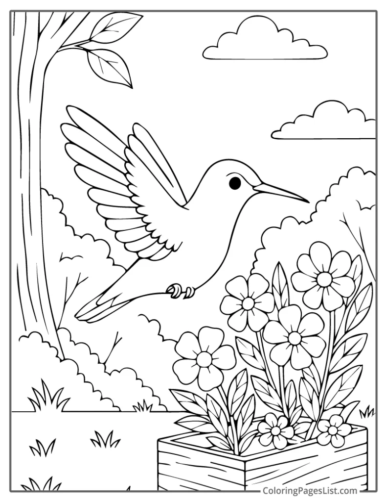 Hummingbird Hovering Over Flower Box Coloring Page