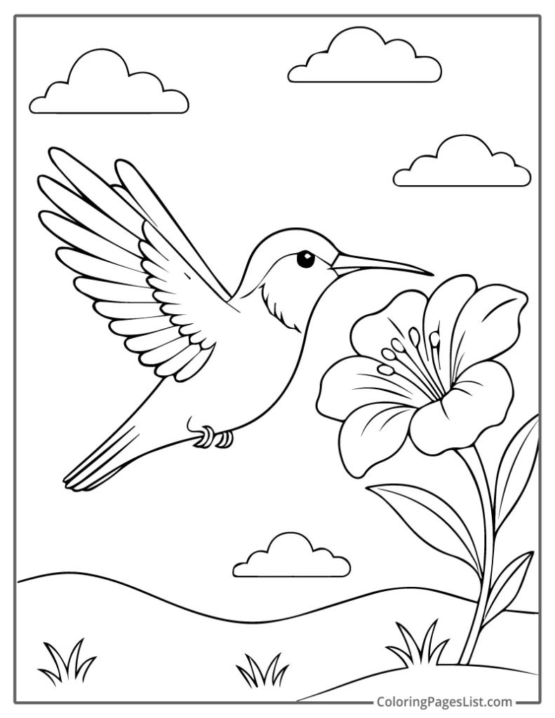 Hummingbird Hovering Over a Meadow Lily Coloring Page
