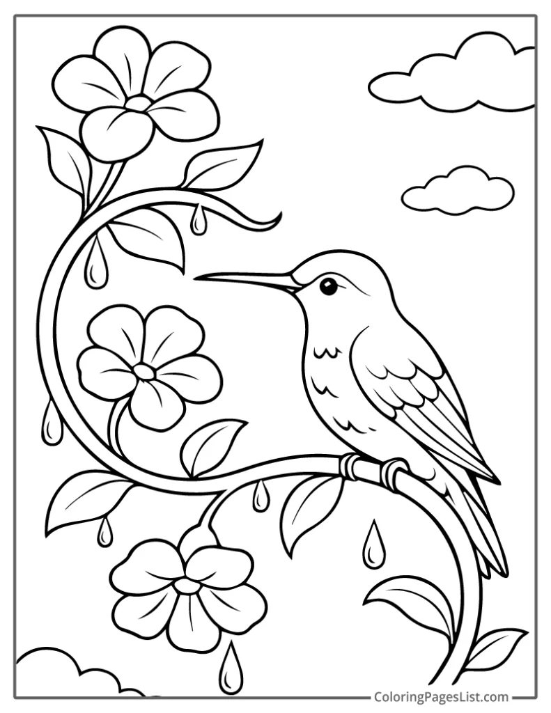 Hummingbird Perched on Vine With Raindrops To Color In