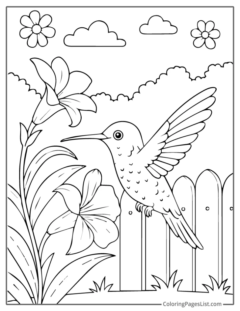 Hummingbird Reaching for Lily Beside Fence Coloring Page