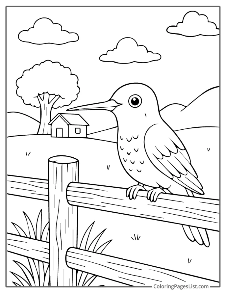 Hummingbird Resting on Wooden Fence Post For Coloring