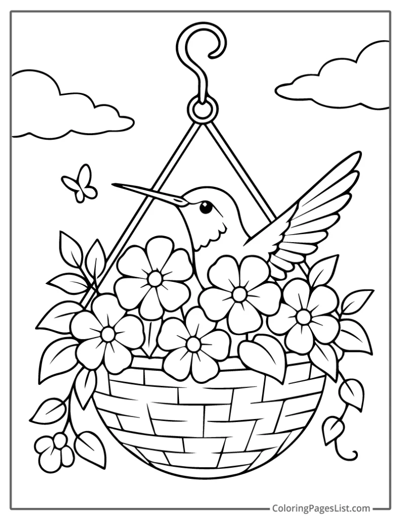 Hummingbird Sitting in Hanging Flower Basket For Coloring