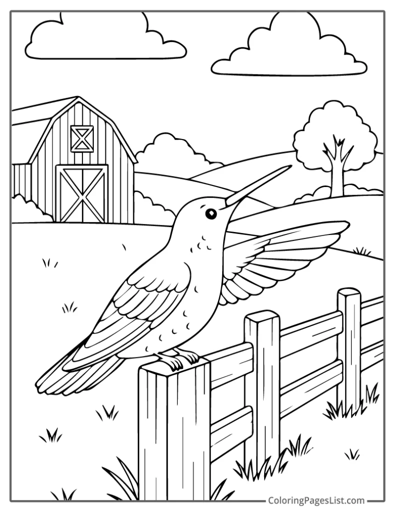 Hummingbird Sitting on Fence Near Barn Coloring Page