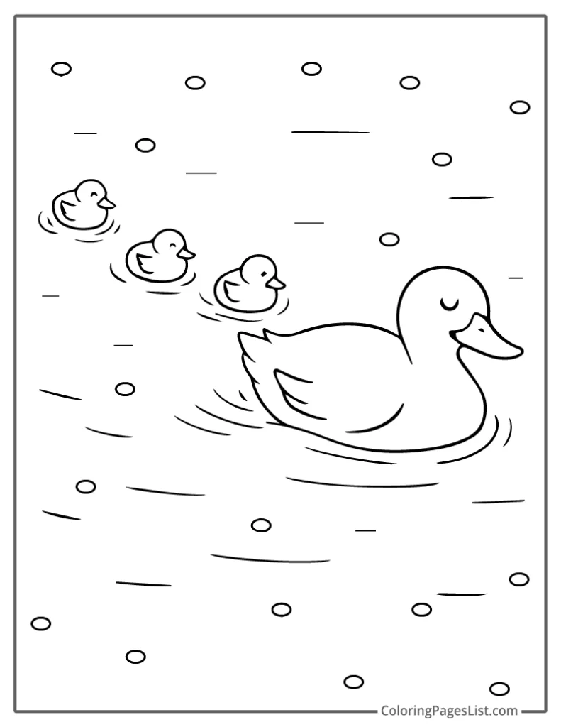 Mother Duck Leading Ducks In Water Coloring Page