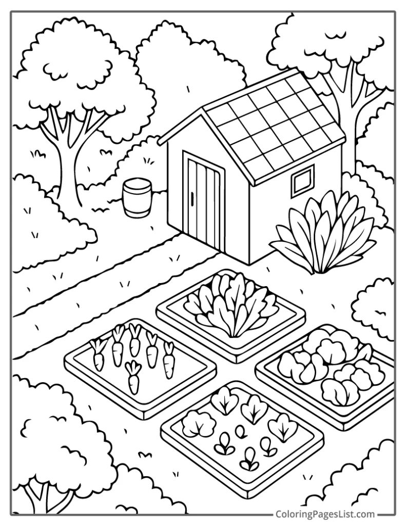 Neat Garden Layout with Tiny Planting Boxes For Coloring