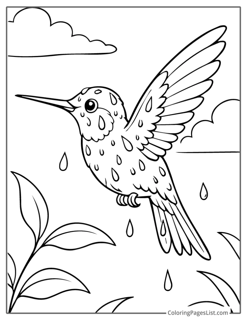 Outline Of Hummingbird Covered in Rain Droplets Coloring Page For Kid