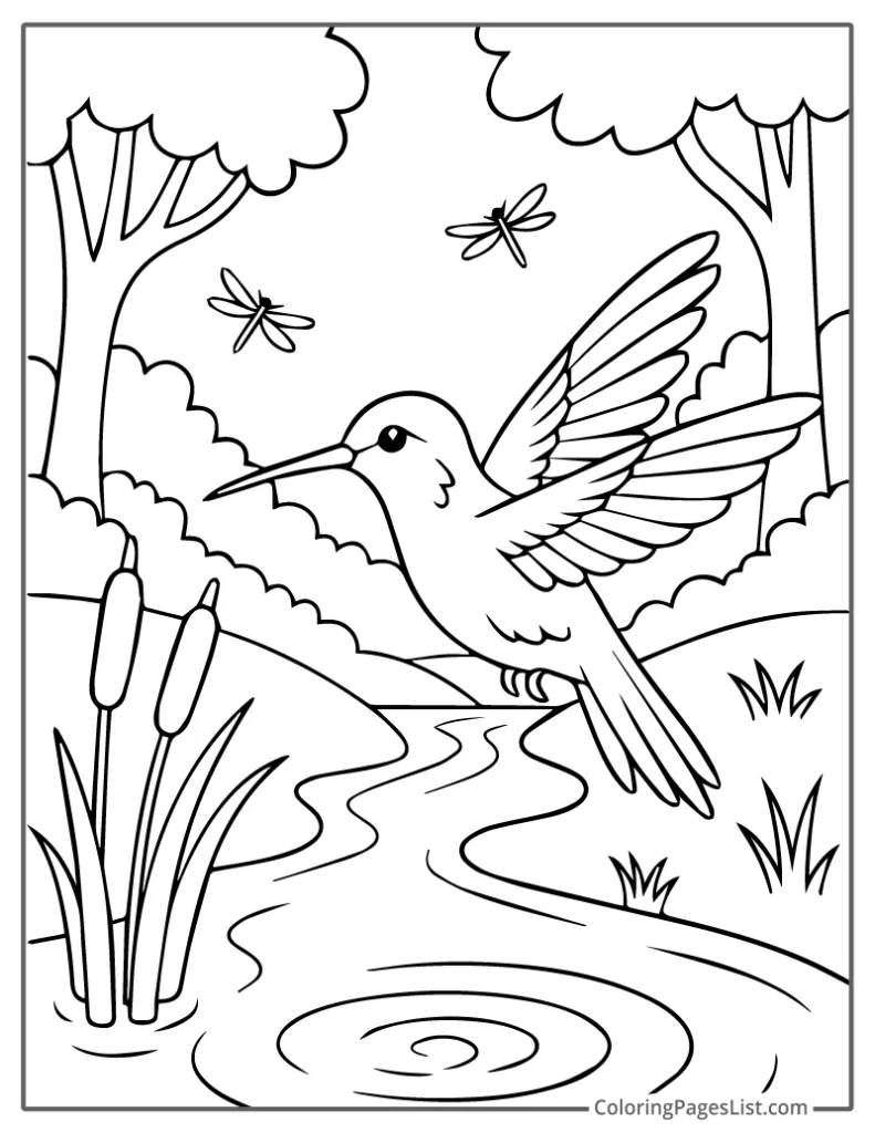 Outline Of Hummingbird Flying Over River With Dragonflies