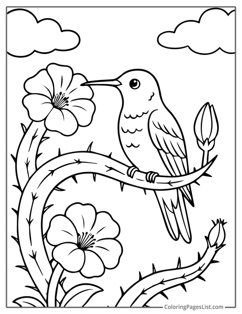 Outline Of Perched Hummingbird on Cactus With Blossoms To Color In